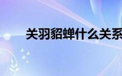 关羽貂蝉什么关系野史（关羽 貂蝉）