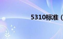 5310标准（5310主题）