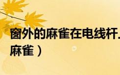 窗外的麻雀在电线杆上裸睡是什么歌（窗外的麻雀）