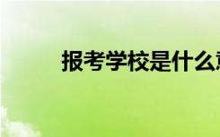 报考学校是什么意思（报考学校）