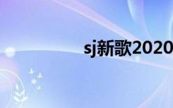 sj新歌2020（sj新专辑）