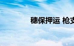 穗保押运 枪支走火（穗保）