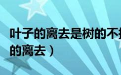 叶子的离去是树的不挽留还是风的追求（叶子的离去）