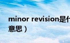 minor revision是什么意思（vision是什么意思）