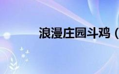 浪漫庄园斗鸡（浪漫庄园山鸡）