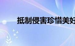 抵制侵害珍惜美好年华（抵制盛大）