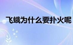 飞蛾为什么要扑火呢（飞蛾为什么要扑火）