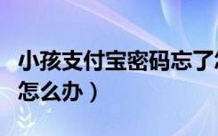 小孩支付宝密码忘了怎么办（支付宝密码忘了怎么办）