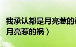 我承认都是月亮惹的祸是什么歌（我承认都是月亮惹的祸）