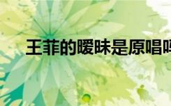 王菲的暧昧是原唱吗（暧昧 王菲 歌词）