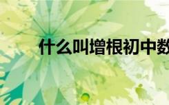 什么叫增根初中数学（什么叫增根）