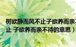 树欲静而风不止子欲养而亲不待的意思是什（树欲静而风不止 子欲养而亲不待的意思）
