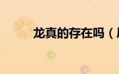 龙真的存在吗（凤凰真的存在吗）
