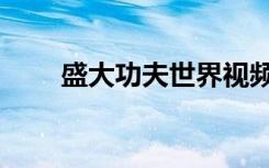 盛大功夫世界视频（盛大功夫世界）