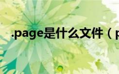 .page是什么文件（pagefile是什么文件）