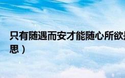 只有随遇而安才能随心所欲是什么意思（随心所欲是什么意思）