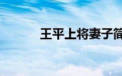 王平上将妻子简介（王平上将）