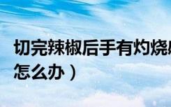 切完辣椒后手有灼烧感（切完辣椒后手烧的疼怎么办）