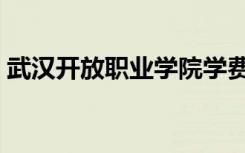 武汉开放职业学院学费（武汉开放职业学院）
