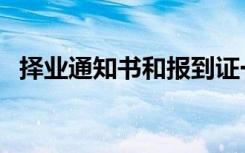 择业通知书和报到证一样吗（择业通知书）
