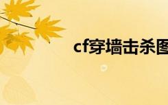 cf穿墙击杀图标（cf穿墙）