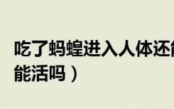吃了蚂蝗进入人体还能活吗（蚂蝗进入人体还能活吗）