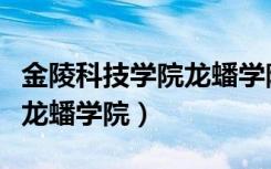 金陵科技学院龙蟠学院是几本（金陵科技学院龙蟠学院）