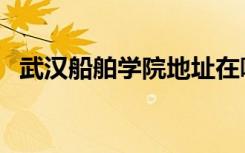 武汉船舶学院地址在哪里（武汉船舶学院）