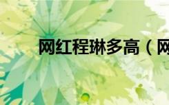 网红程琳多高（网络红人程琳内衣）