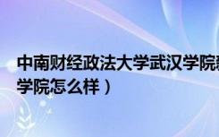 中南财经政法大学武汉学院新校区（中南财经政法大学武汉学院怎么样）