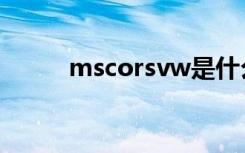 mscorsvw是什么（mscorsvw）