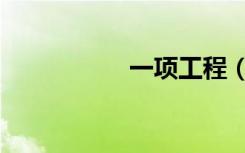 一项工程（一项工程）