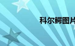 科尔鳄图片（科尔鳄）