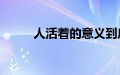 人活着的意义到底是什么（人活）