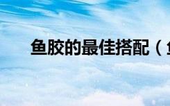 鱼胶的最佳搭配（鱼胶怎么炖最好的）