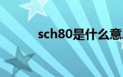 sch80是什么意思（sch w750）