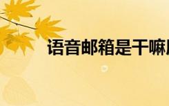 语音邮箱是干嘛用的（语音邮箱）