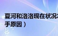 夏河和洛洛现在状况怎么样了（夏河和洛洛分手原因）