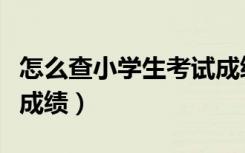 怎么查小学生考试成绩单（怎么查小学生考试成绩）