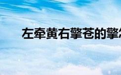 左牵黄右擎苍的擎怎么读（擎怎么读）