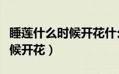 睡莲什么时候开花什么时候合拢（睡莲什么时候开花）