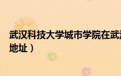 武汉科技大学城市学院在武汉哪里（武汉科技大学城市学院地址）