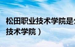 松田职业技术学院是公办还是民办（松田职业技术学院）