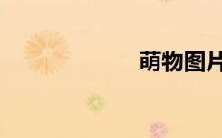 萌物图片（萌物）