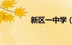 新区一中学（新区一中吧）