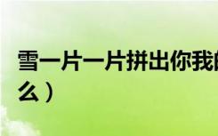 雪一片一片拼出你我的缘分是什么（缘分是什么）