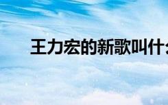 王力宏的新歌叫什么（王力宏的新歌）