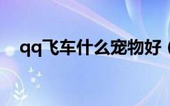 qq飞车什么宠物好（qq飞车什么b车好）