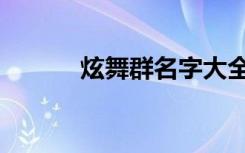 炫舞群名字大全（炫舞群名字）