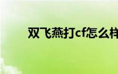 双飞燕打cf怎么样（cf双飞怎么飞）